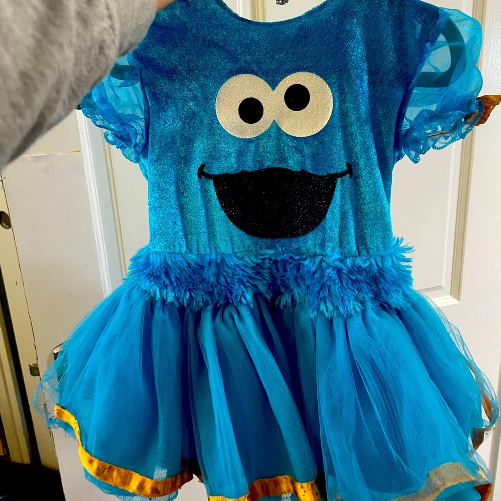 2T-3T Cookie Monster Halloween dress